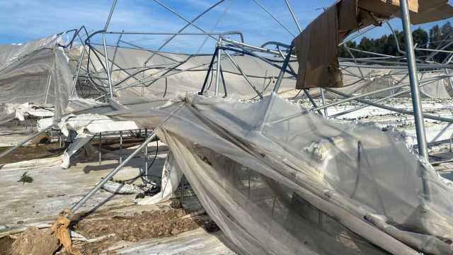 Ass Satta Sopralluogo Campagne Osristanese 1