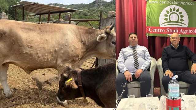 Centro Studi Agricoli Commento Sblocco