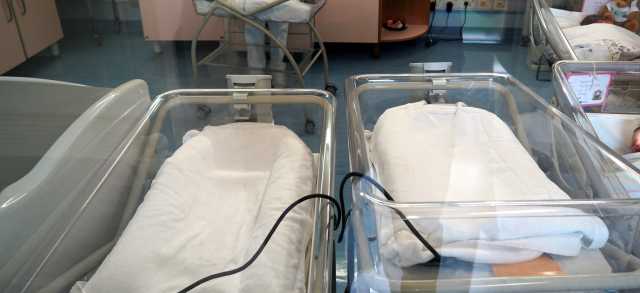 Culle Reparto Nascite