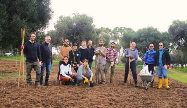Cagliari, al Parco di Molentargius messi a dimora i primi 80 olivi del progetto “Percorsi di olivicoltura”