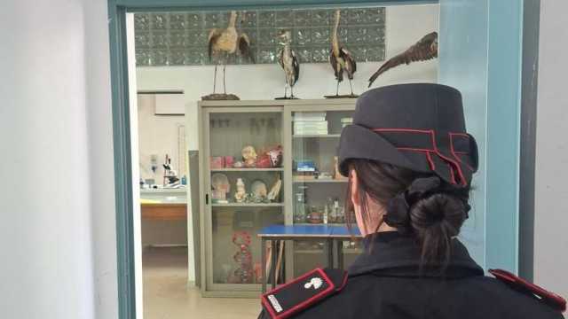 WhatsApp Image 2025 12 10 At 14.21.06