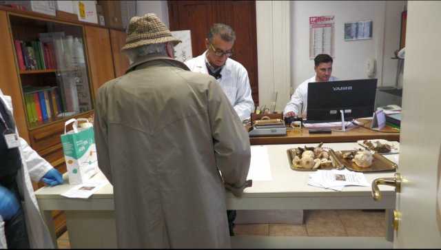 Funghi Intossicazione