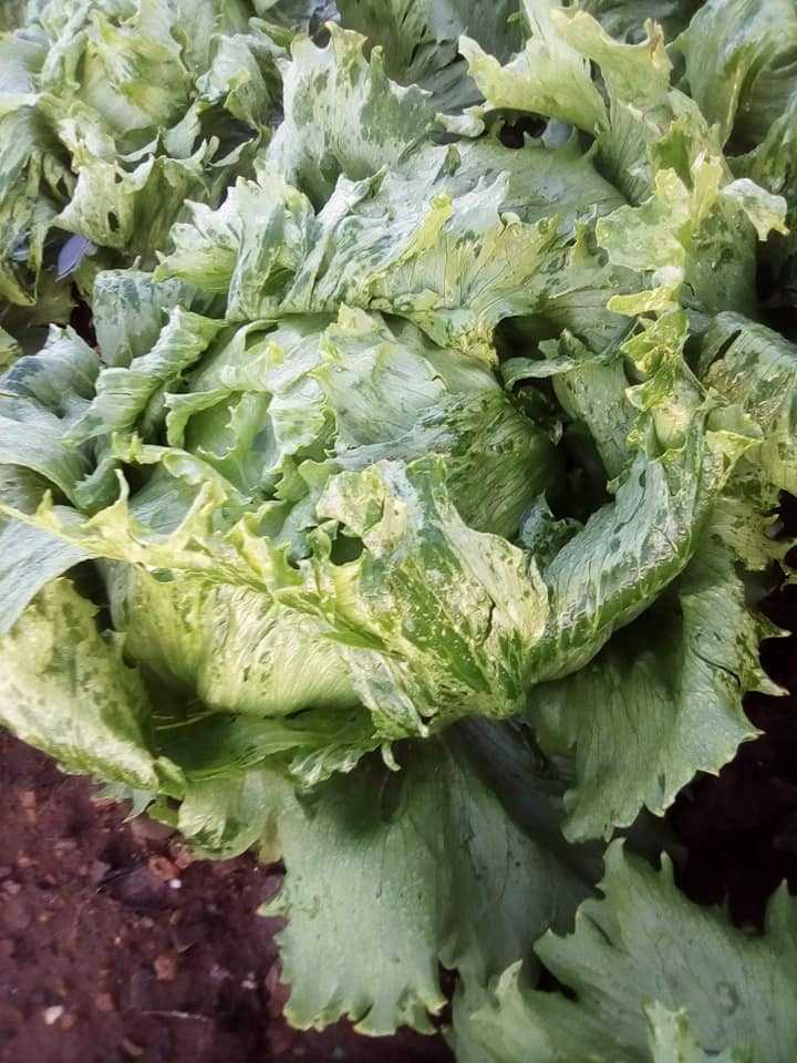 3505837117284600138745838056458246057099264n 3505837117284600138745838056458246057099264n