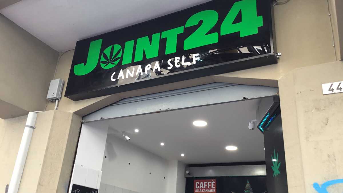 Joint-24-Canapa-Self