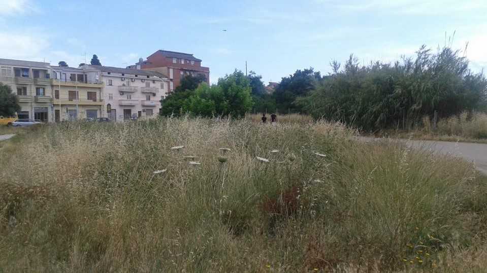 Terreni-incolti-Selargius