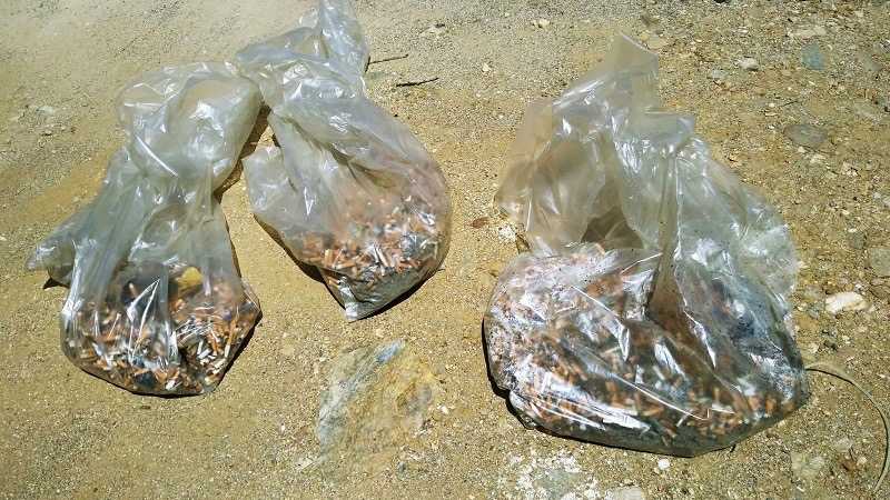 Sacchi-cicche-raccolte2-1