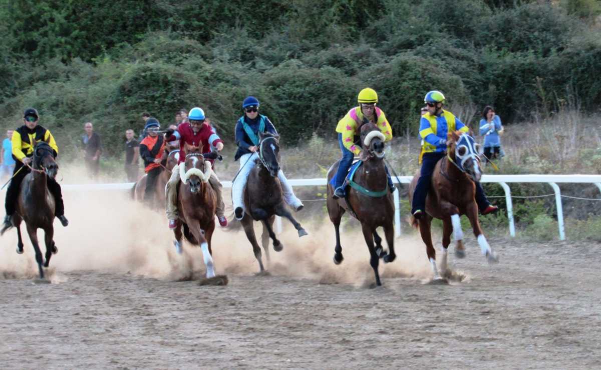 Palio-dellAssunta-Orgosolo-2