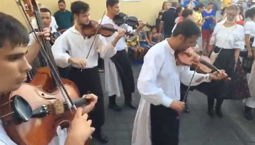 Terre-di-Villanovaforru