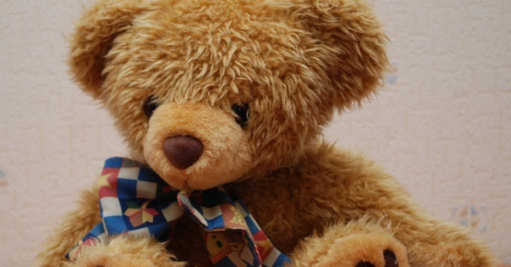 orsetto-cover-1024x535