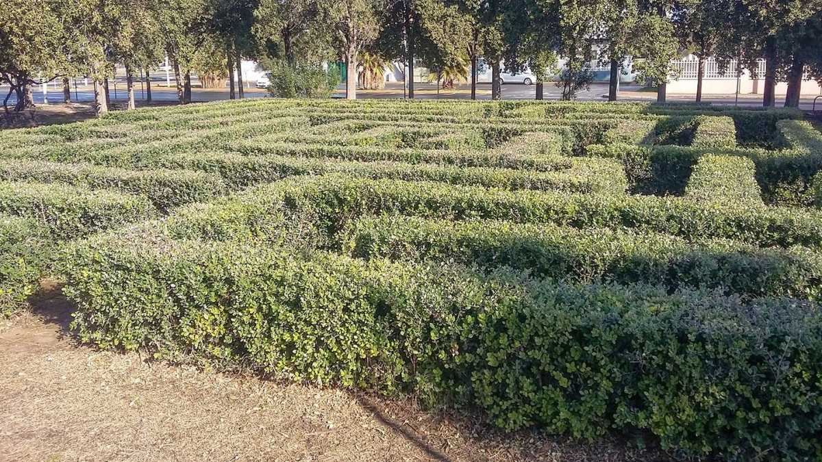 Labirinto-siepi-Poetto