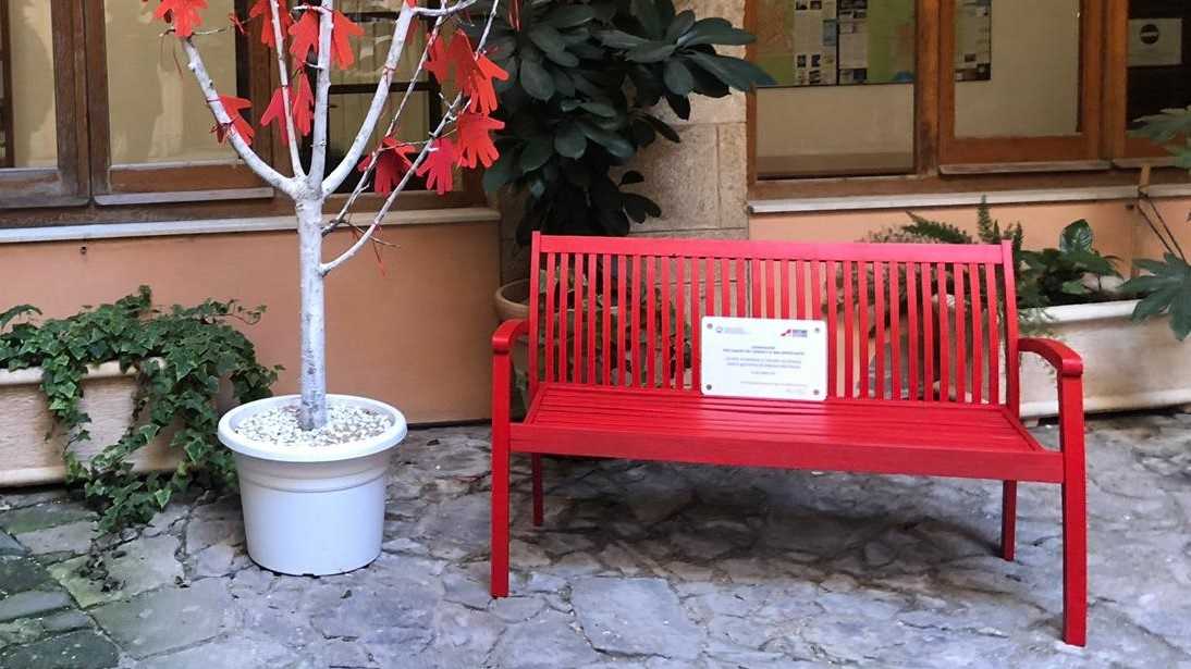 Panchina Rossa E Albero Dei Pensieri Panchina-rossa-e-Albero-dei-pensieri