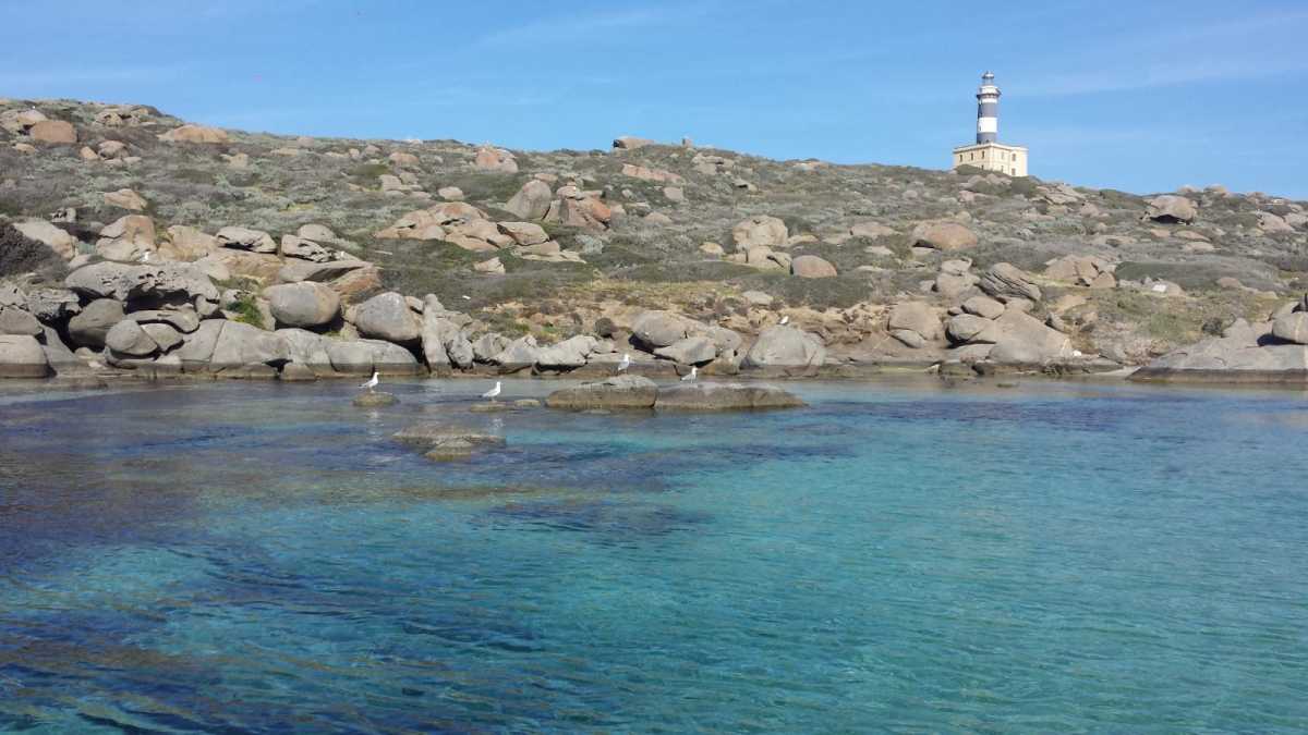 Isola-dei-Cavolifoto-1