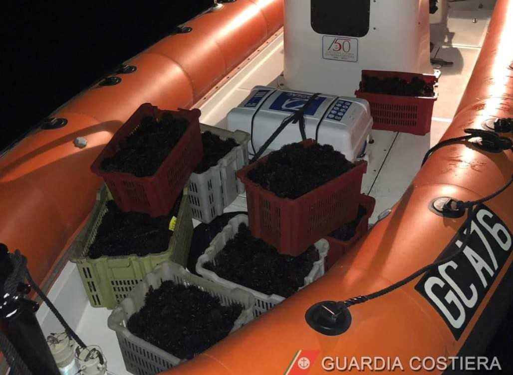 Ricci Carloforte ricci-carloforte