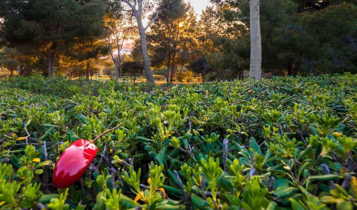 Mouse Albero 3 Mouse-albero-3