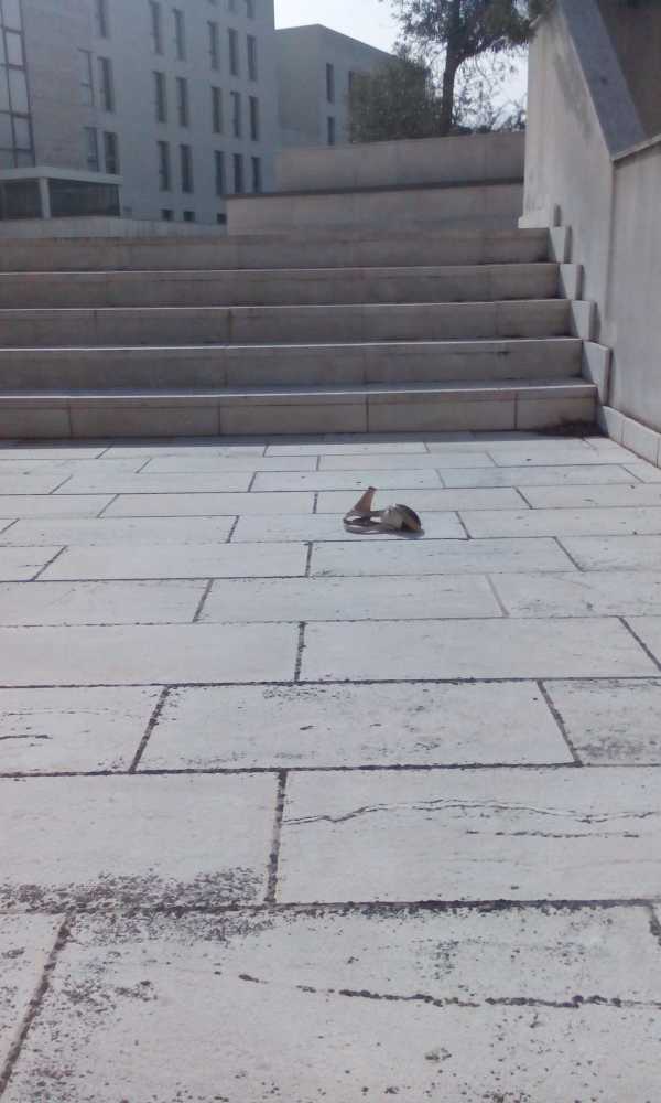 eppure-ci-volevo-andare-a-quella-festa-Giacomo-Pisano