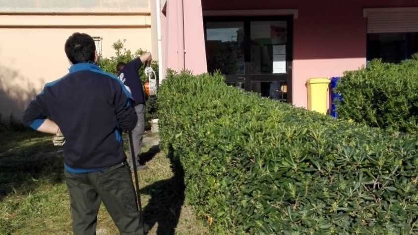 Michele Pisano Michele-Pisano