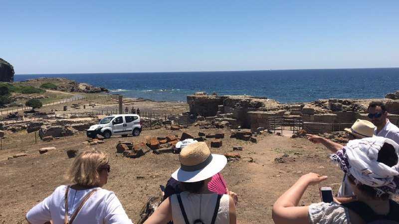 98da02a1-84a1-4a37-ae31-3ecfc4165bd4