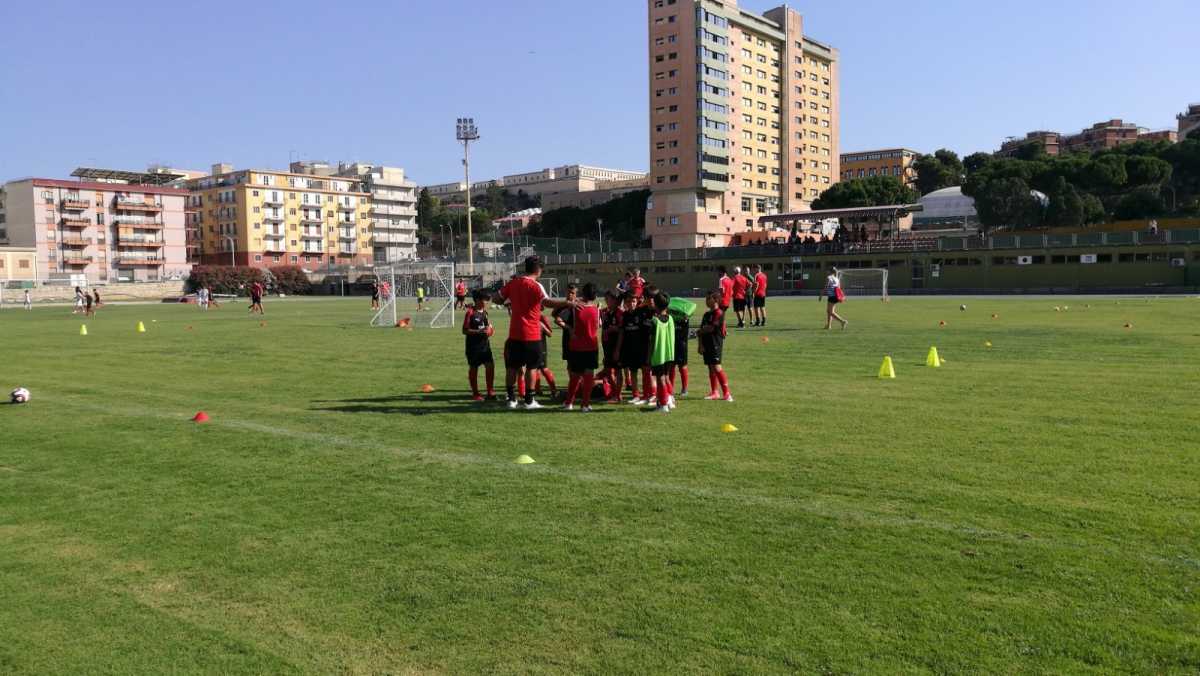 WhatsApp Image 2019 06 24 At 134030 WhatsApp-Image-2019-06-24-at-134030