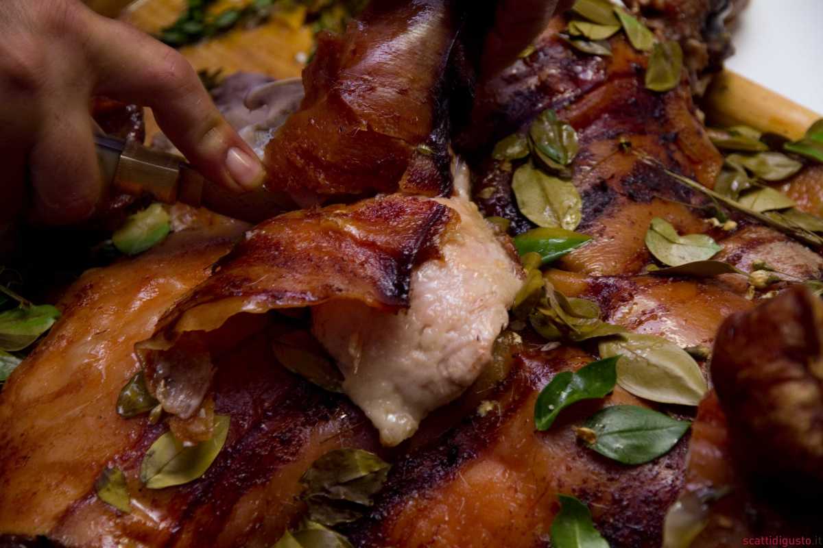 Maialino Mirto 06 maialino-mirto-06