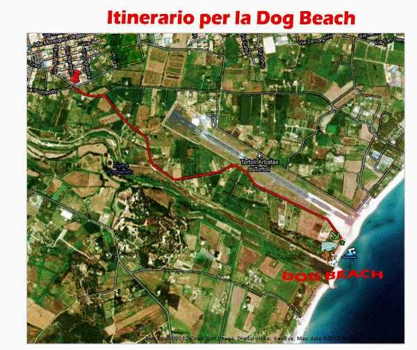 955904512577721840318159013dogbeach-mappa