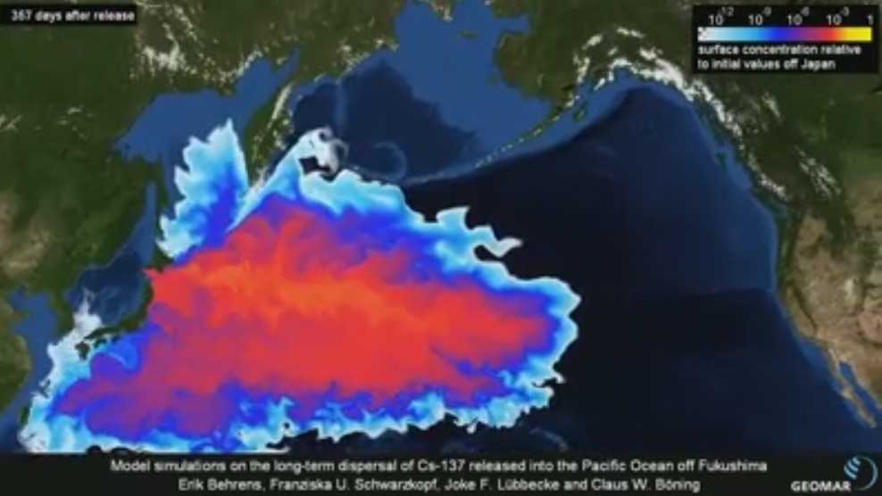ocean-water-contaminated1