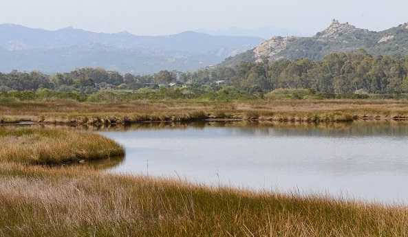 Arzachena Stagno Di Saloni Alla Foce Del Rio San Giovanni Arzachena-stagno-di-Saloni-alla-foce-del-Rio-San-Giovanni