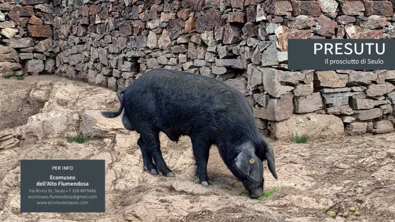 Presutu-prosciutto-di-seulo