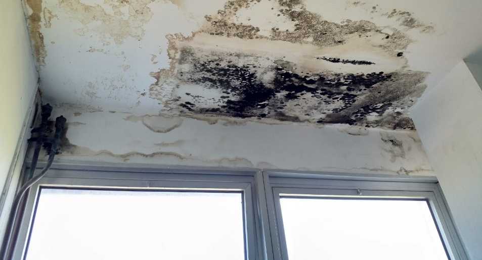 il-soffitto-della-scuola-di-via-cairoli-1