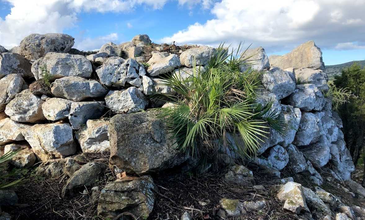 Nuraghe Femminedda Nuraghe-Femminedda