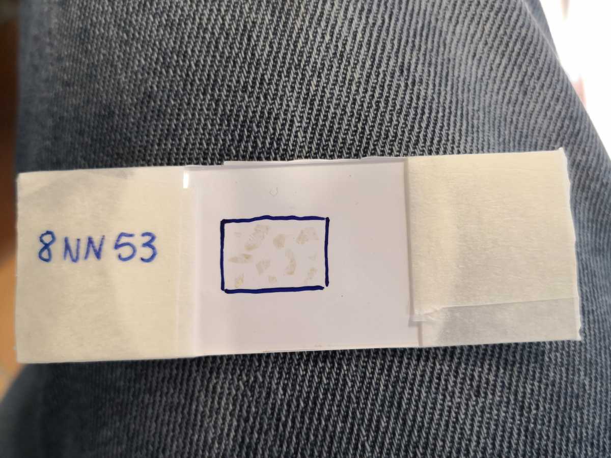 PARTICELLE-ESTRATTE-DA-UN-VETRINO