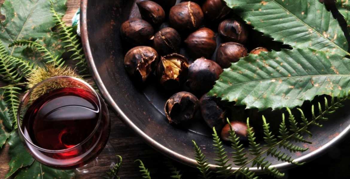 CASTAGNE VINO cASTAGNE-VINO