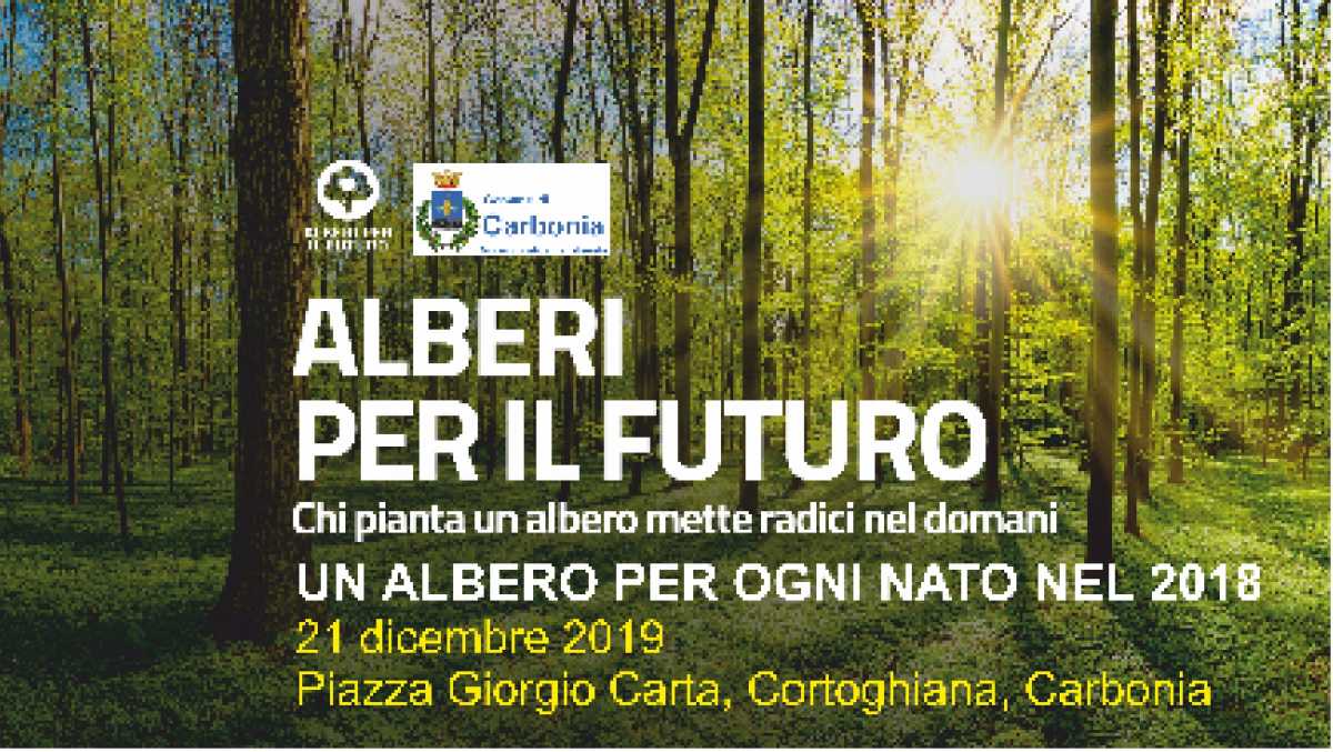 alberi-per-il-futuro