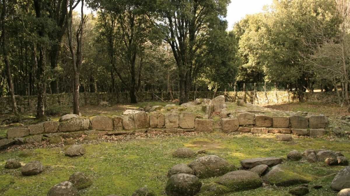 Bosco-Seleni-lanusei