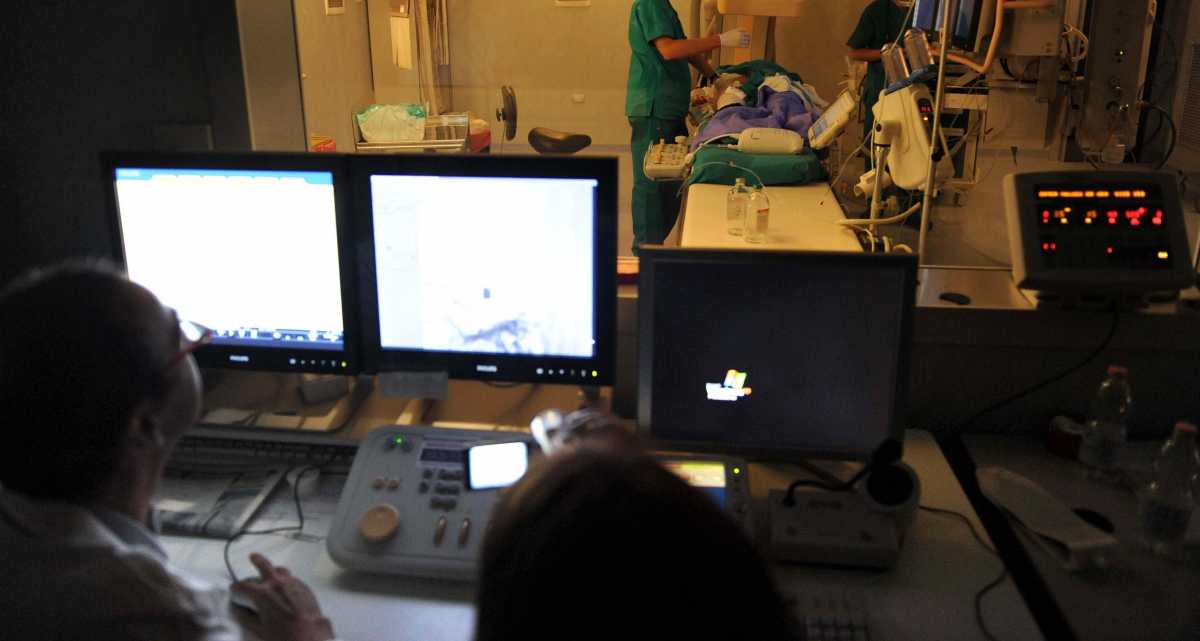 Trapianti-IMago-Economica