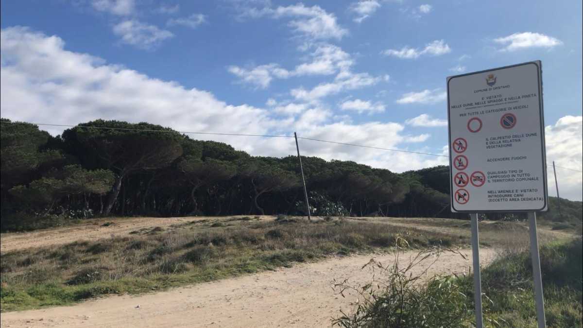 cartello-e-pineta-torre-grande