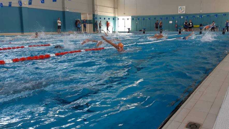 Nuoto Sardegna nuoto-sardegna