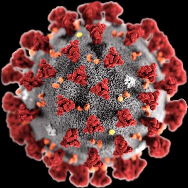 Coronavirus-111