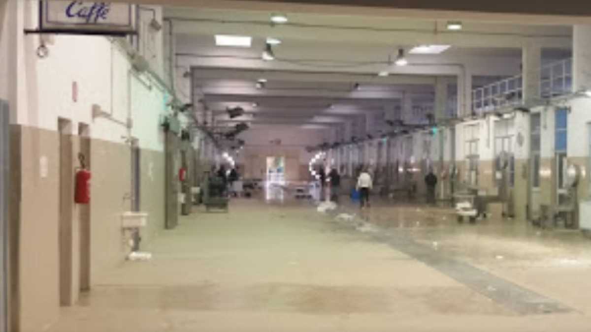 mercato-ittico-viale-la-playa