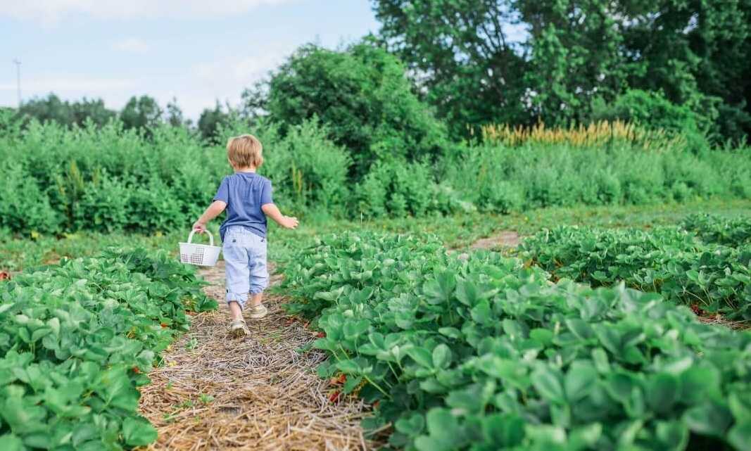 Bambino-orto
