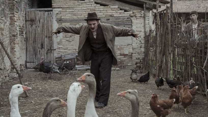 4-Volevo-nascondermi