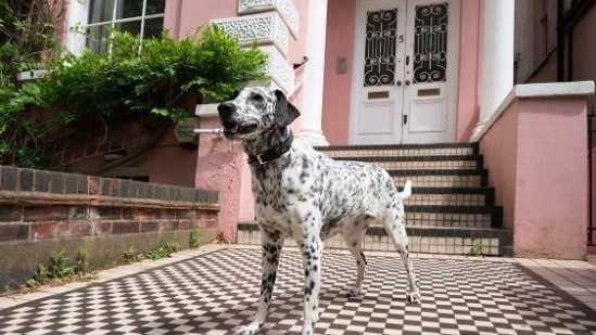 2carica-dei-101-villa