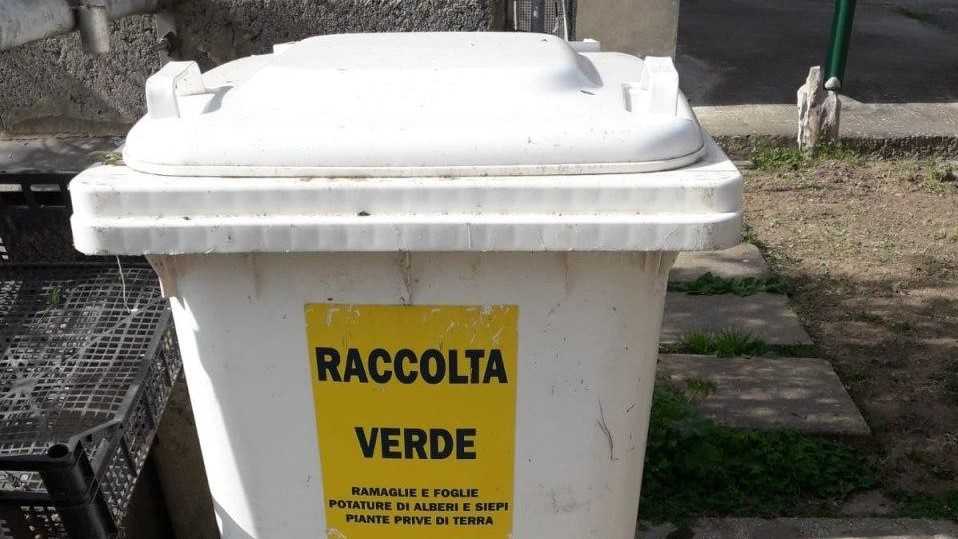 Raccolta-verde
