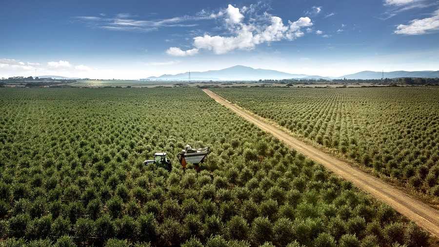 santabarbara-sangiuliano