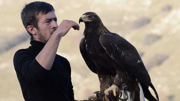 ECB97121-8EDD-4106-B911-5C55C2326445