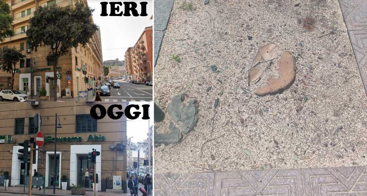 Via-dantetagliati