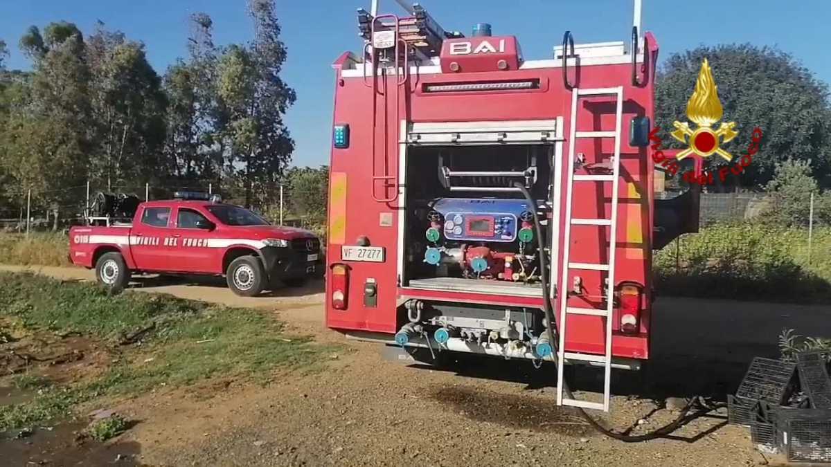 80c53e08 Ab7b 4e2b 8fae C489dc235d9f 80c53e08-ab7b-4e2b-8fae-c489dc235d9f