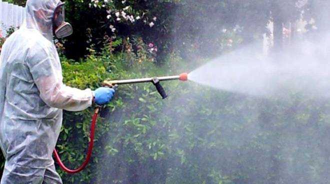 disinfestazione-cortile