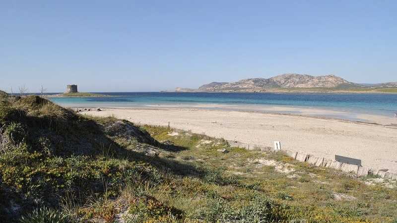 stintino-apre-prenotazione