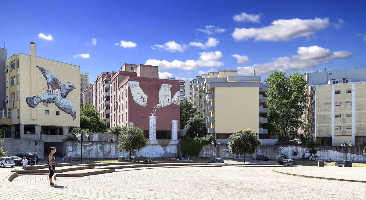 BLUEricailcaneSassari