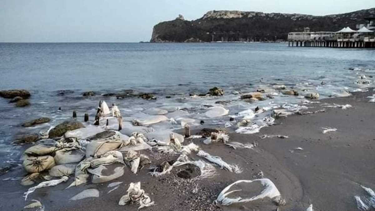 SacchiLido SacchiLido